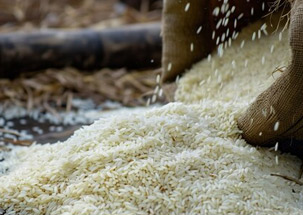 Indian Rice Mill  Analysis